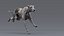 Greyhound 2 Fur Animated