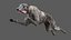 Greyhound 2 Fur Animated