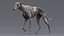 Greyhound 2 Fur Animated