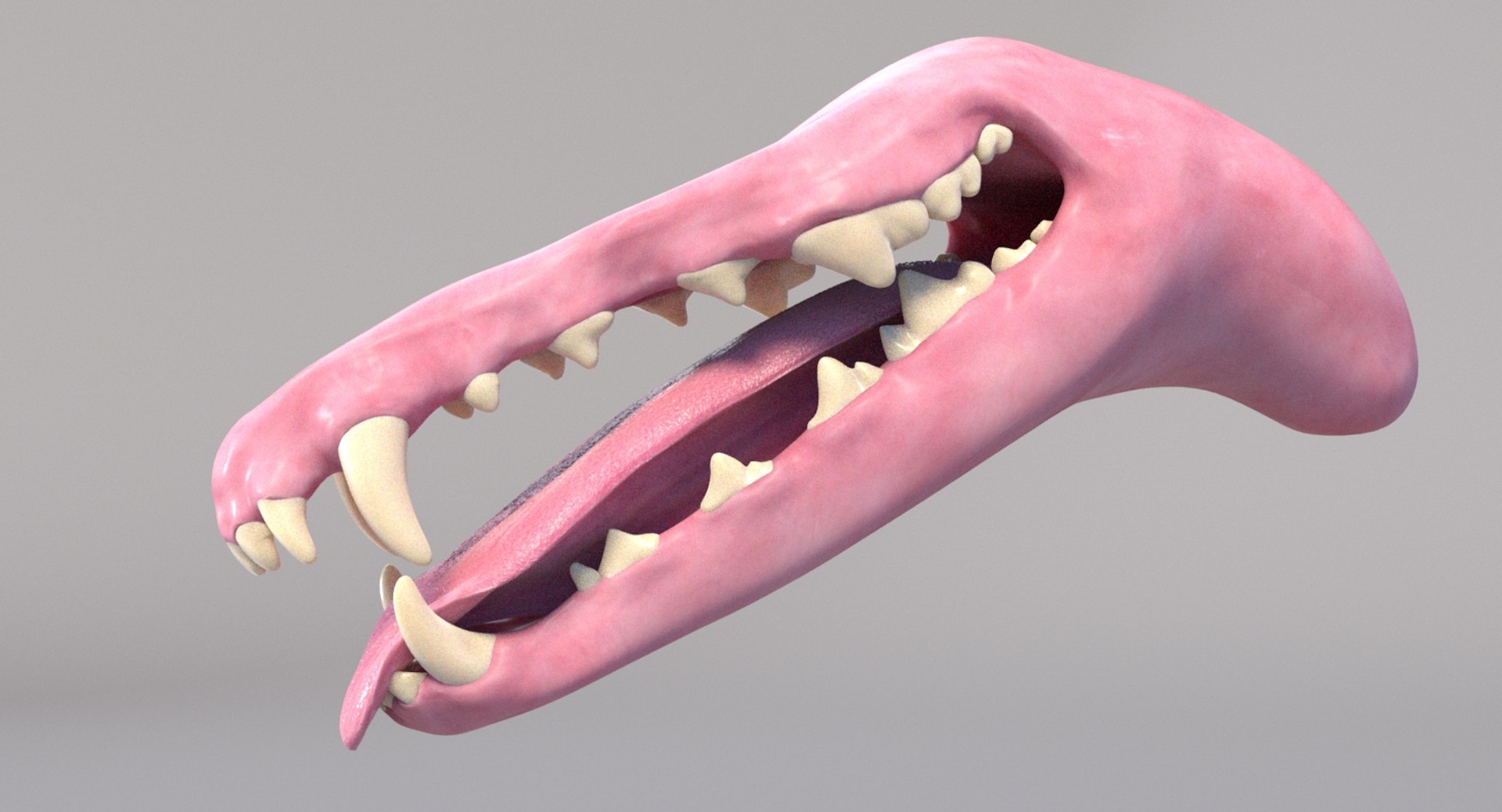 3D greyhound hound fur https://p.turbosquid.com/ts-thumb/7f/GrI1tS/NG/mouth_add_01/jpg/1610704048/1920x1080/fit_q87/6e34862f59447448e8300f77bfca85ec4efb78c1/mouth_add_01.jpg