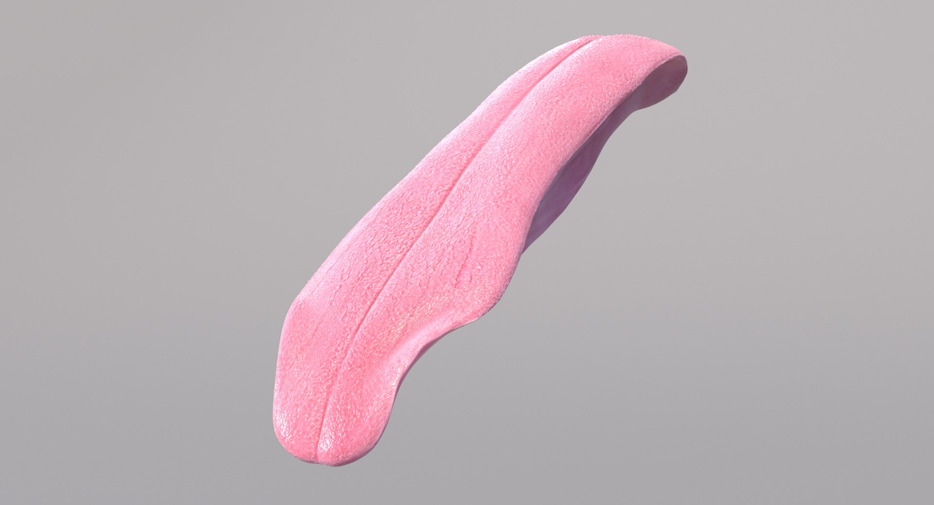 3D greyhound hound fur https://p.turbosquid.com/ts-thumb/7f/GrI1tS/py/tongue_main_01/png/1610704131/1920x1080/fit_q87/422203b6b6e9841d8545af65deca5da5a9c9a611/tongue_main_01.jpg