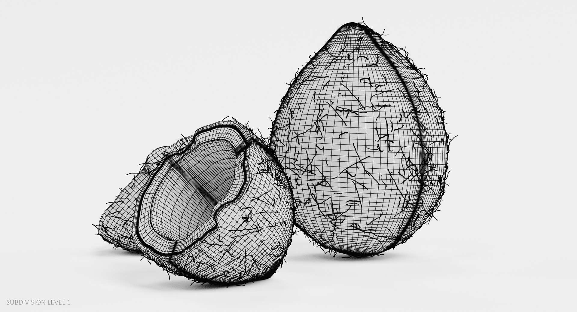 3D coconuts cracked model https://p.turbosquid.com/ts-thumb/7f/S4QGZe/0OYOyXzf/coconutsw3/png/1515090931/1920x1080/fit_q87/61d21120c95a1339de35f936947ad29b67d44e44/coconutsw3.jpg