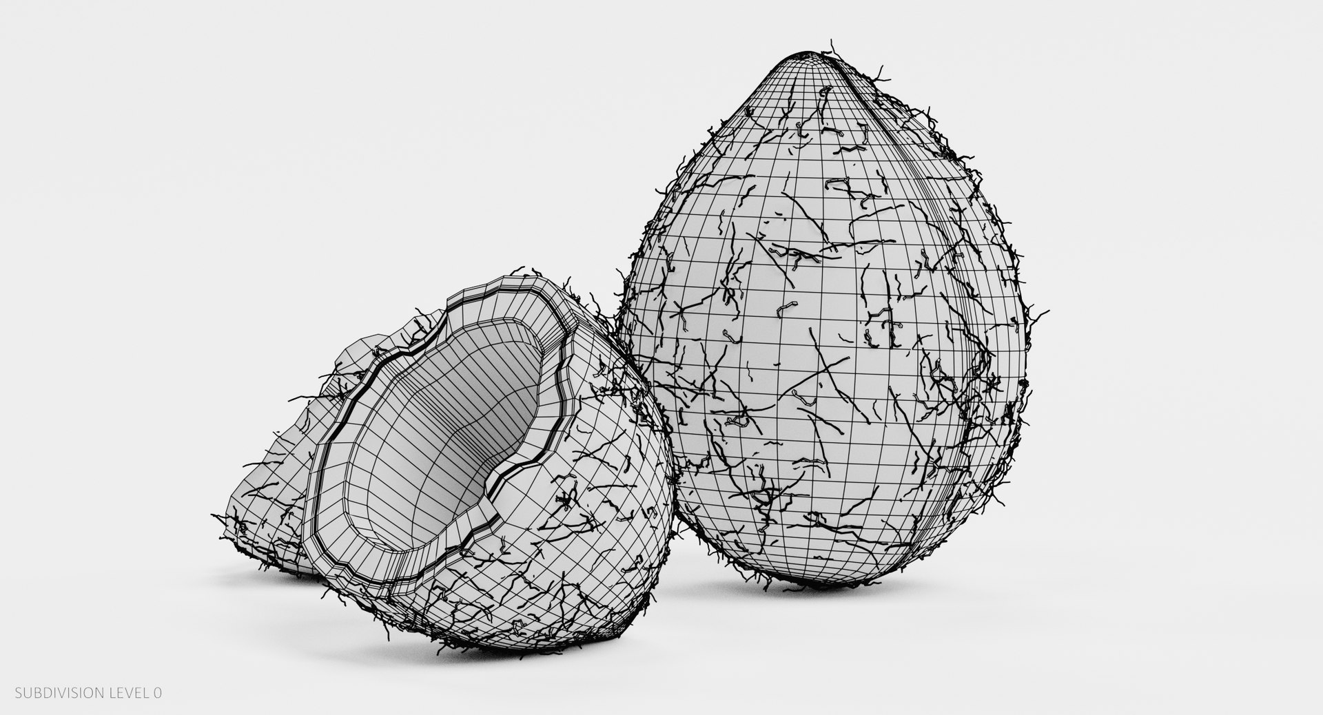 3D coconuts cracked model https://p.turbosquid.com/ts-thumb/7f/S4QGZe/oulxmP9D/coconutsw2/png/1515090931/1920x1080/fit_q87/b329ea638cd9d674a8056194957586f224b9b7ea/coconutsw2.jpg