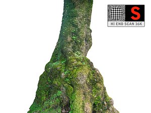3D scanned laurel forest model