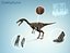 celofyza dinozaura