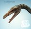 celofyza dinozaura