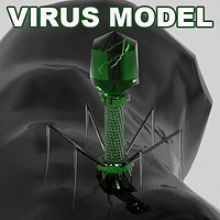 Bacteriophage (T4 virus) with DNA on bacterium model
