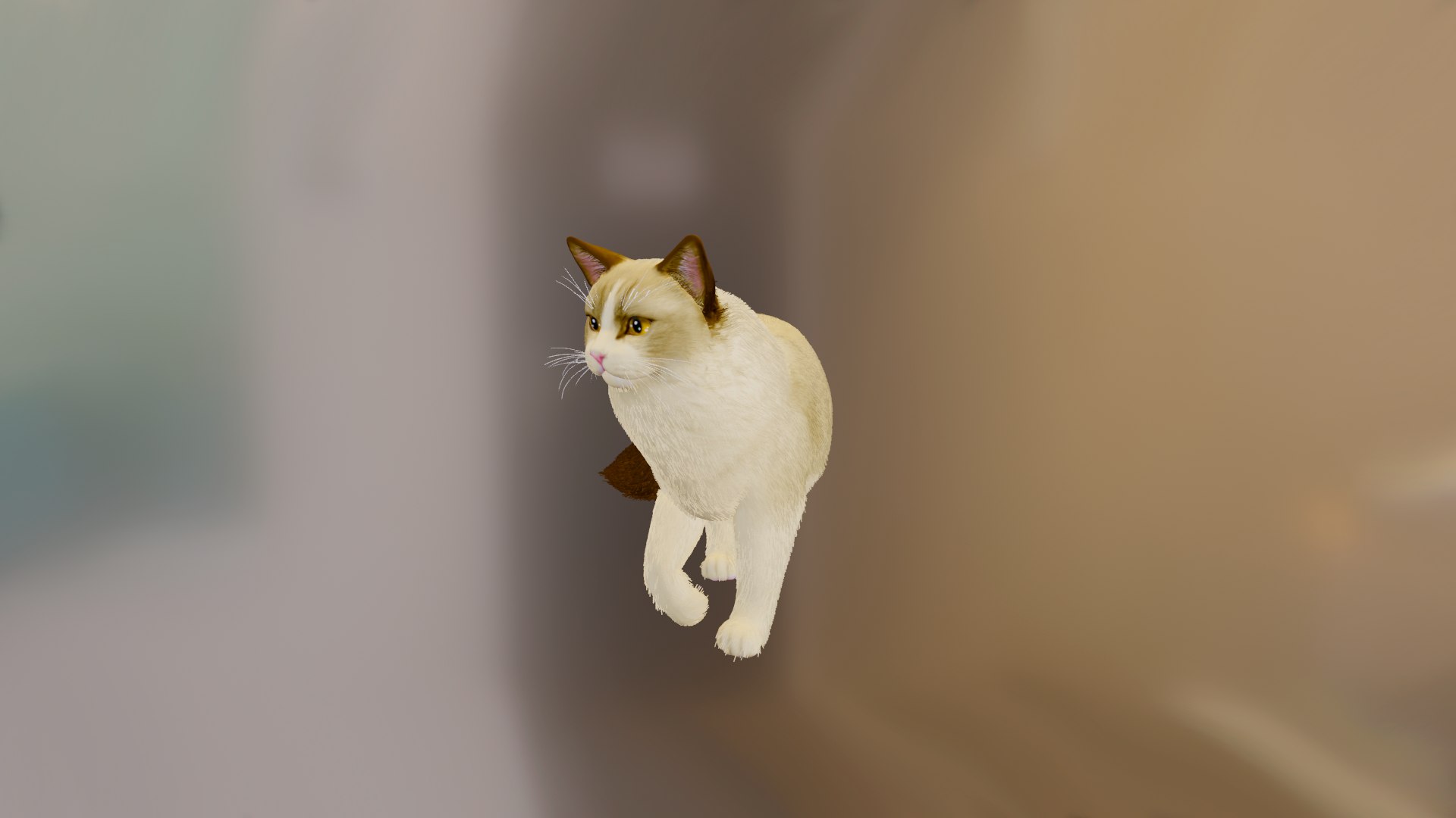 3D model cat https://p.turbosquid.com/ts-thumb/7f/YdprVL/5S/20220311_093903/png/1646981569/1920x1080/fit_q87/314236176e224f9c535e21ccb3122af2affe14a9/20220311_093903.jpg
