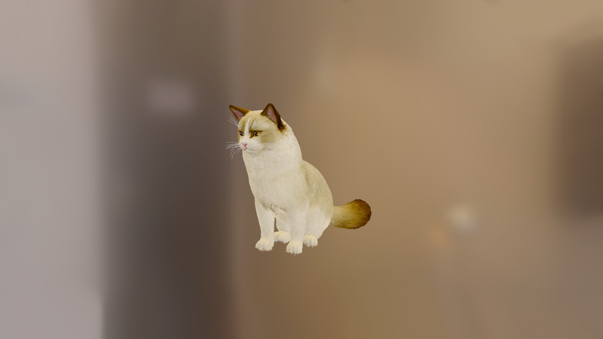 3D model cat https://p.turbosquid.com/ts-thumb/7f/YdprVL/65/20220311_093930/png/1646981571/1920x1080/fit_q87/226ce7bf83c84f5b6221a7ff91ce3f727634afc0/20220311_093930.jpg