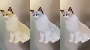 3D model cat