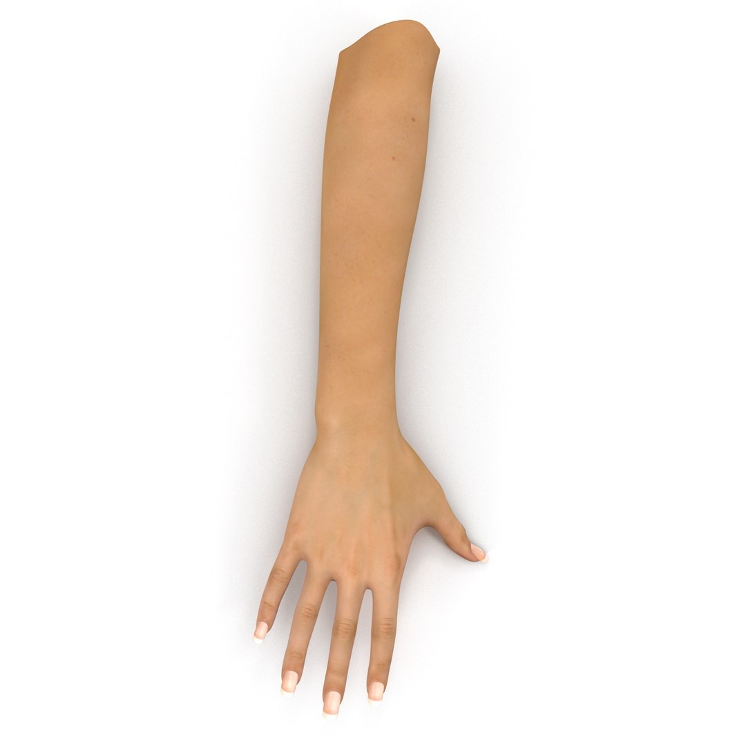 3d Female Hand Model