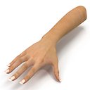 Female Hand 3D Model