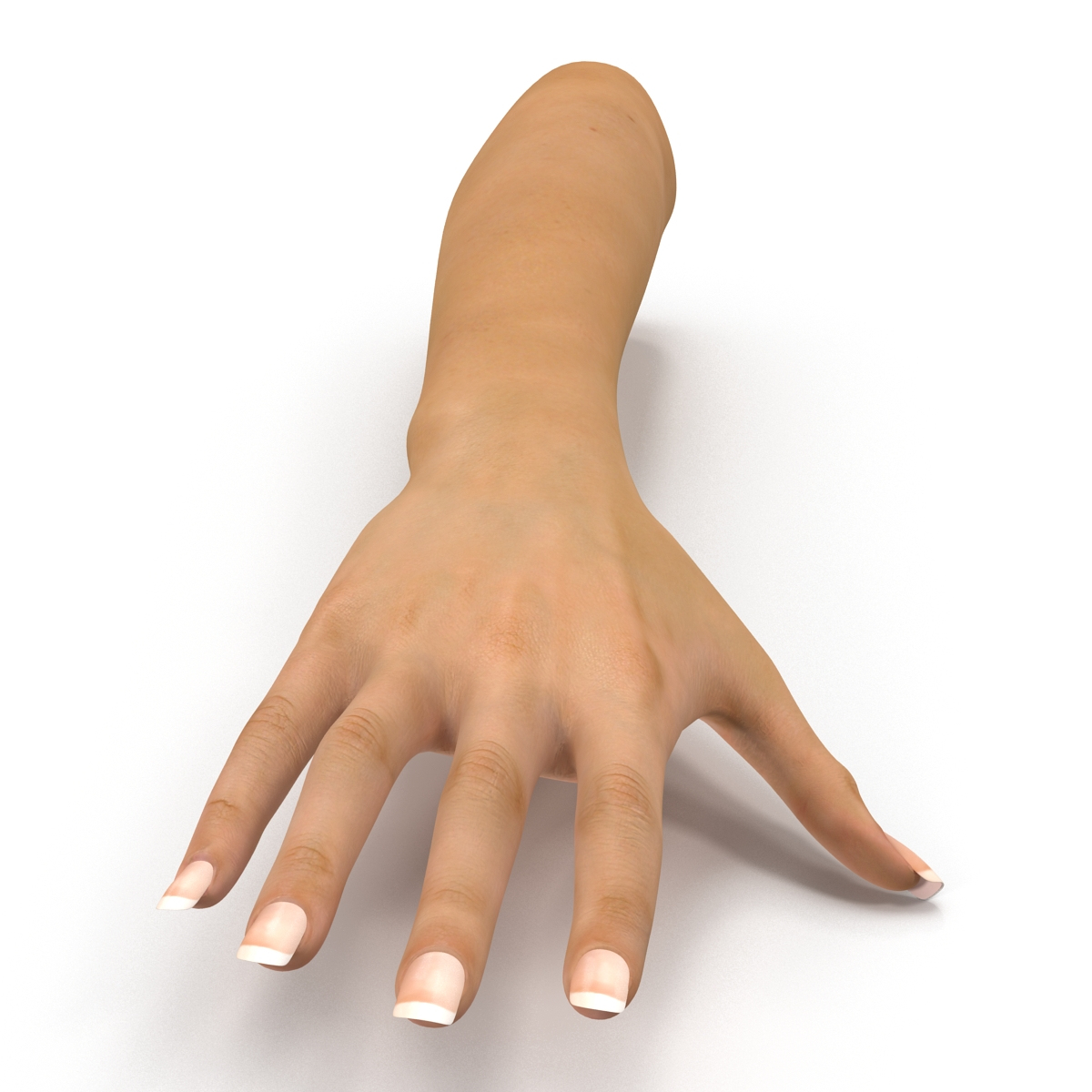 3d female hand model
