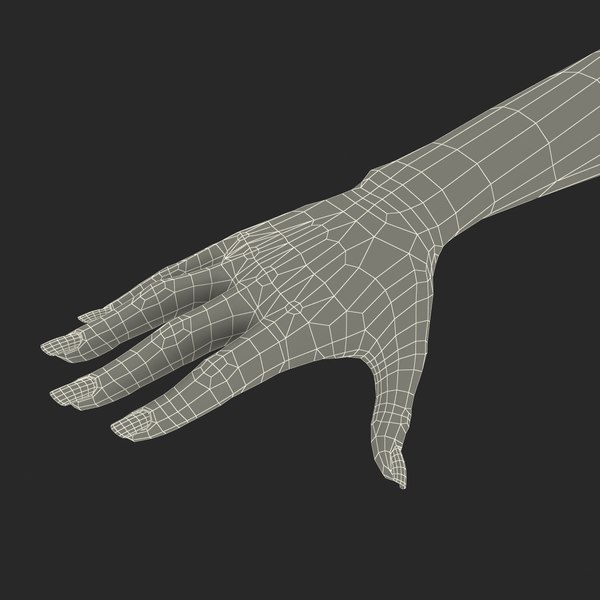 3d female hand model