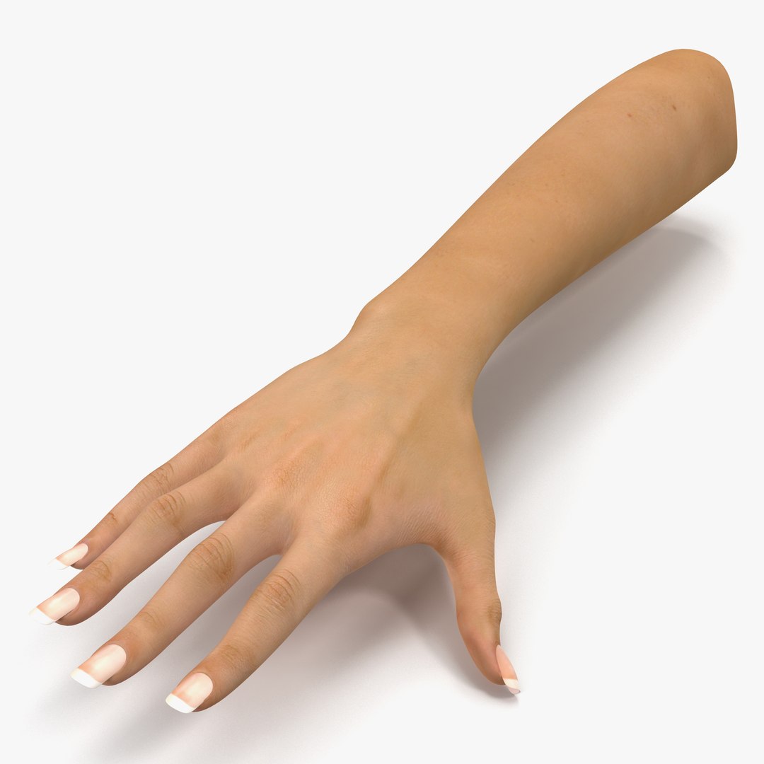 Female Hand 3D Model 3D model preview