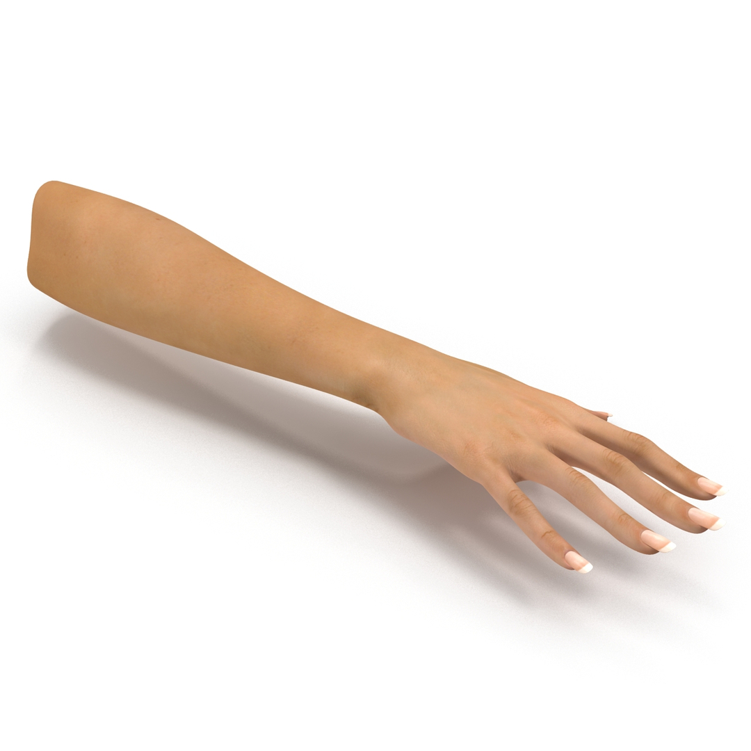 3d female hand model