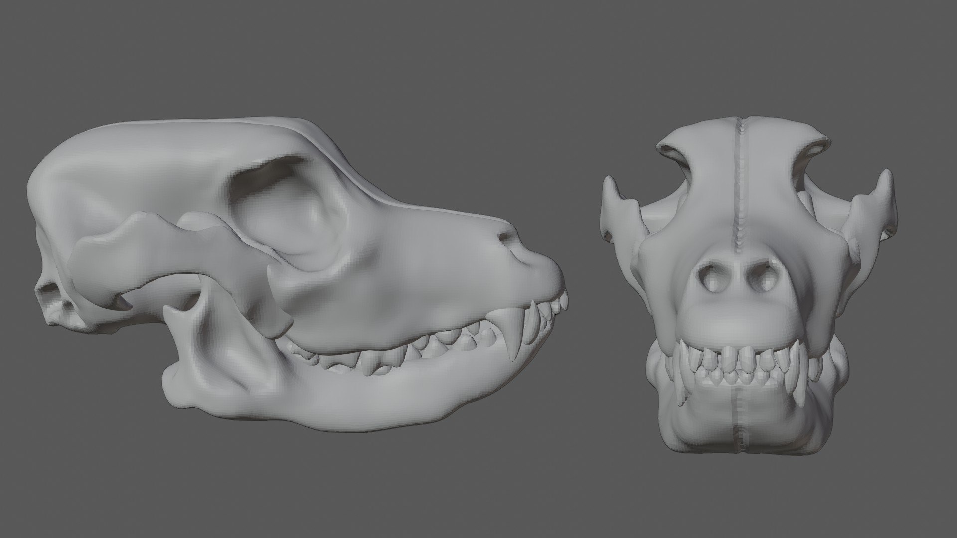 Dog Skull 3D model https://p.turbosquid.com/ts-thumb/7f/gXlUNn/HD/21/jpg/1629290105/1920x1080/fit_q87/d60e481cfdd704bbd3de6cbb9fb1599e60ac4f5d/21.jpg