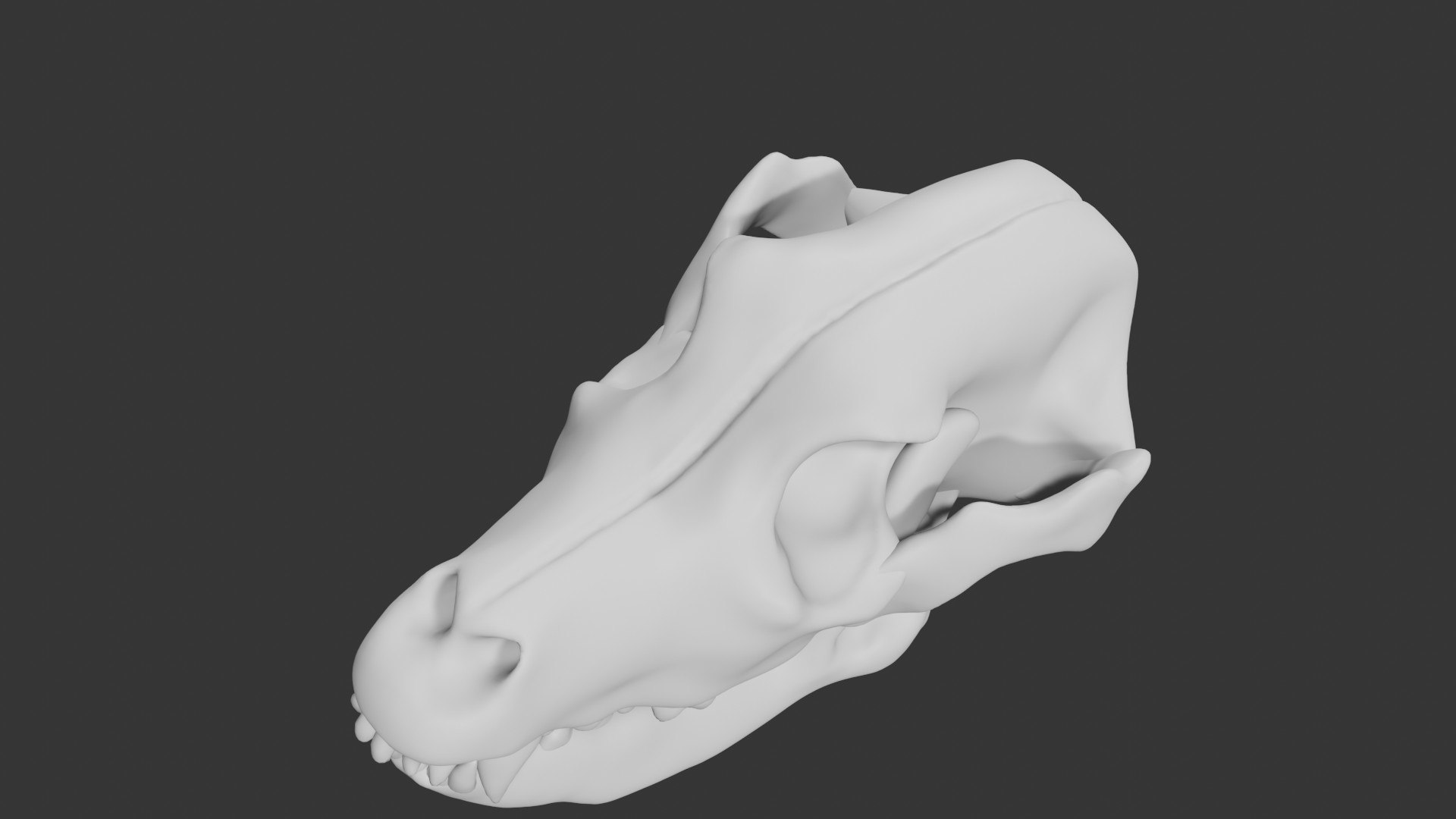 Dog Skull 3D model https://p.turbosquid.com/ts-thumb/7f/gXlUNn/ht/15/jpg/1629290105/1920x1080/fit_q87/58bccb72ec1817569d9ecdd3af262f072298b3c6/15.jpg