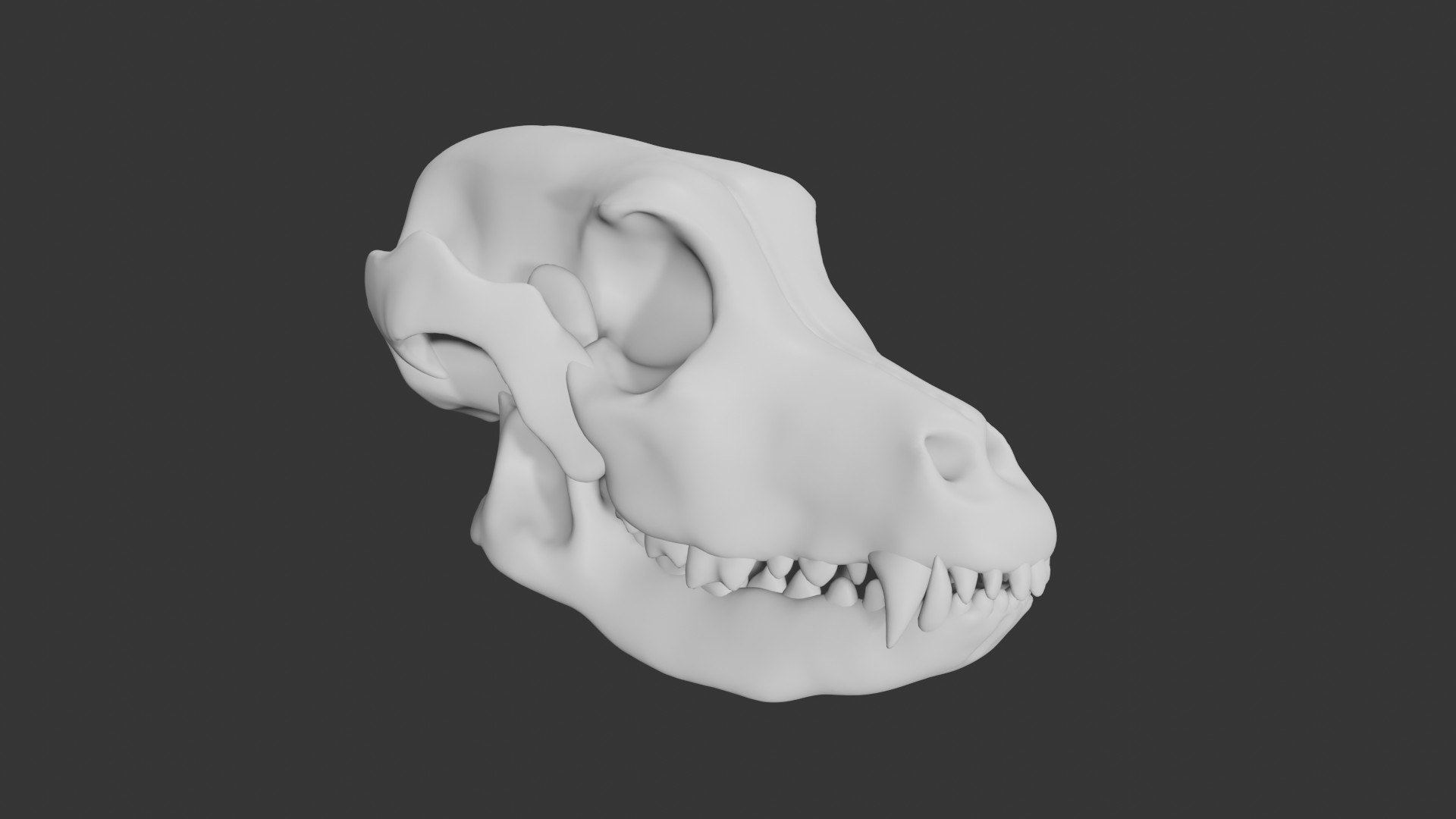 Dog Skull 3D model https://p.turbosquid.com/ts-thumb/7f/gXlUNn/zR/11/jpg/1629290103/1920x1080/fit_q87/2de0928913eefb46ceb34c7bcec7a7c80cb185ee/11.jpg