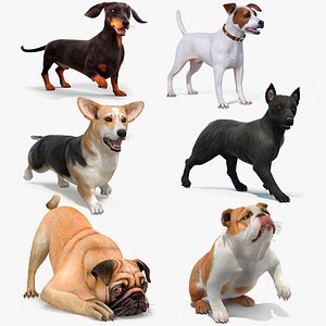 Small Dogs Rigged for Cinema 4D Collection 4