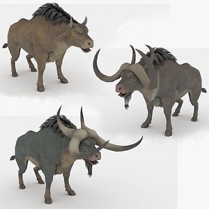 3D 3 in 1 Buffalo Rigged and Animated