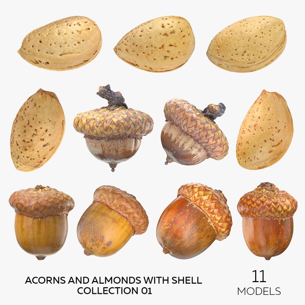 3D Acorns and Almonds With Shell Collection 01 - 11 models