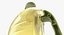 Olive Oil Bottles Collection