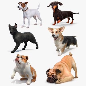 Small Dogs Rigged Collection 4