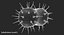 bacteria pack 3D model