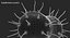 bacteria pack 3D model