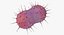 bacteria pack 3D model