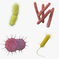 Bacteria Pack