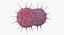 bacteria pack 3D model