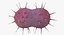 bacteria pack 3D model