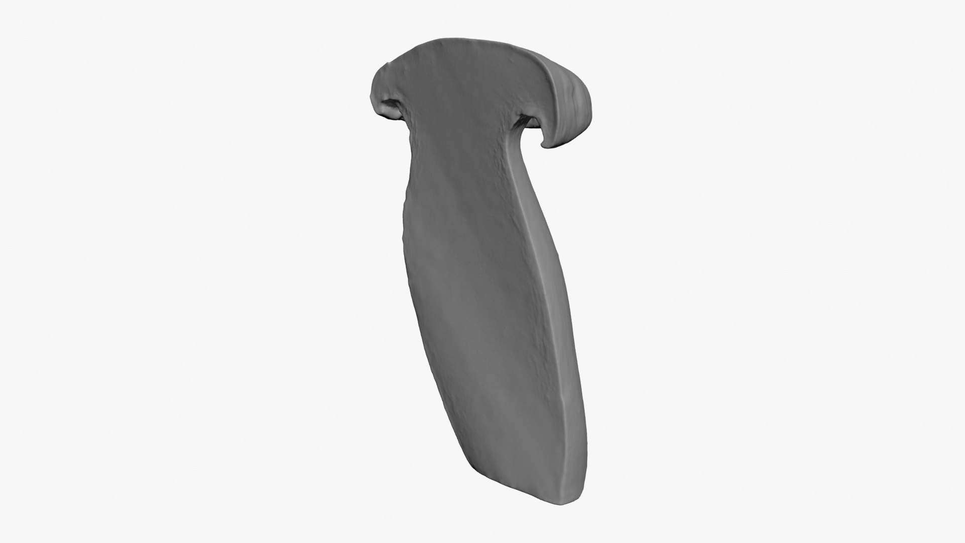 3D King Trumpet Half Scan model https://p.turbosquid.com/ts-thumb/7g/Po9816/BM/kgtrumpethalf02_b0006/jpg/1723000584/1920x1080/fit_q87/1c455a2740090907c26ff53df6124b877935b219/kgtrumpethalf02_b0006.jpg