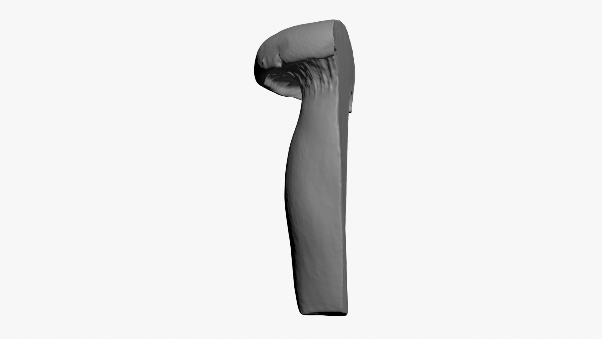 3D King Trumpet Half Scan model https://p.turbosquid.com/ts-thumb/7g/Po9816/Co/kgtrumpethalf02_b0004/jpg/1723000583/1920x1080/fit_q87/7359be77d33996f17d3c09ec1fa51e614a094586/kgtrumpethalf02_b0004.jpg