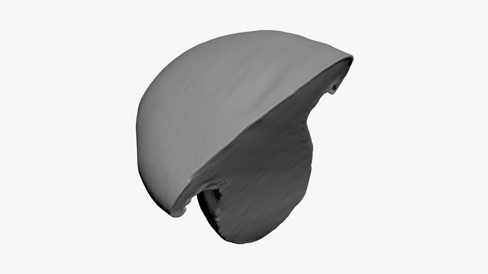 3D King Trumpet Half Scan model https://p.turbosquid.com/ts-thumb/7g/Po9816/Ku/kgtrumpethalf02_b0014/jpg/1723000586/1920x1080/fit_q87/34db4f0097db487b4eada6c3b6d397ca045d3e2d/kgtrumpethalf02_b0014.jpg