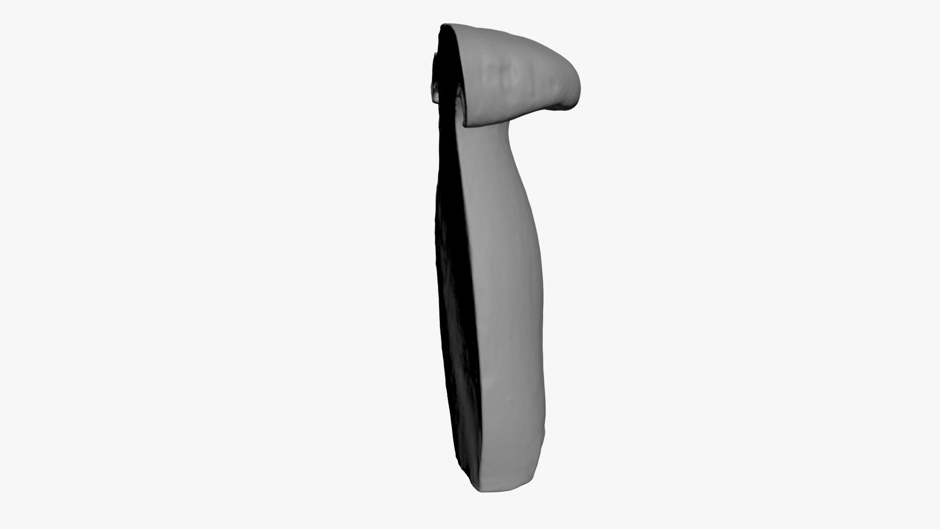 3D King Trumpet Half Scan model https://p.turbosquid.com/ts-thumb/7g/Po9816/ey/kgtrumpethalf02_b0016/jpg/1723000587/1920x1080/fit_q87/e94960ff8816df29febad82a5790d2427ce99f8e/kgtrumpethalf02_b0016.jpg
