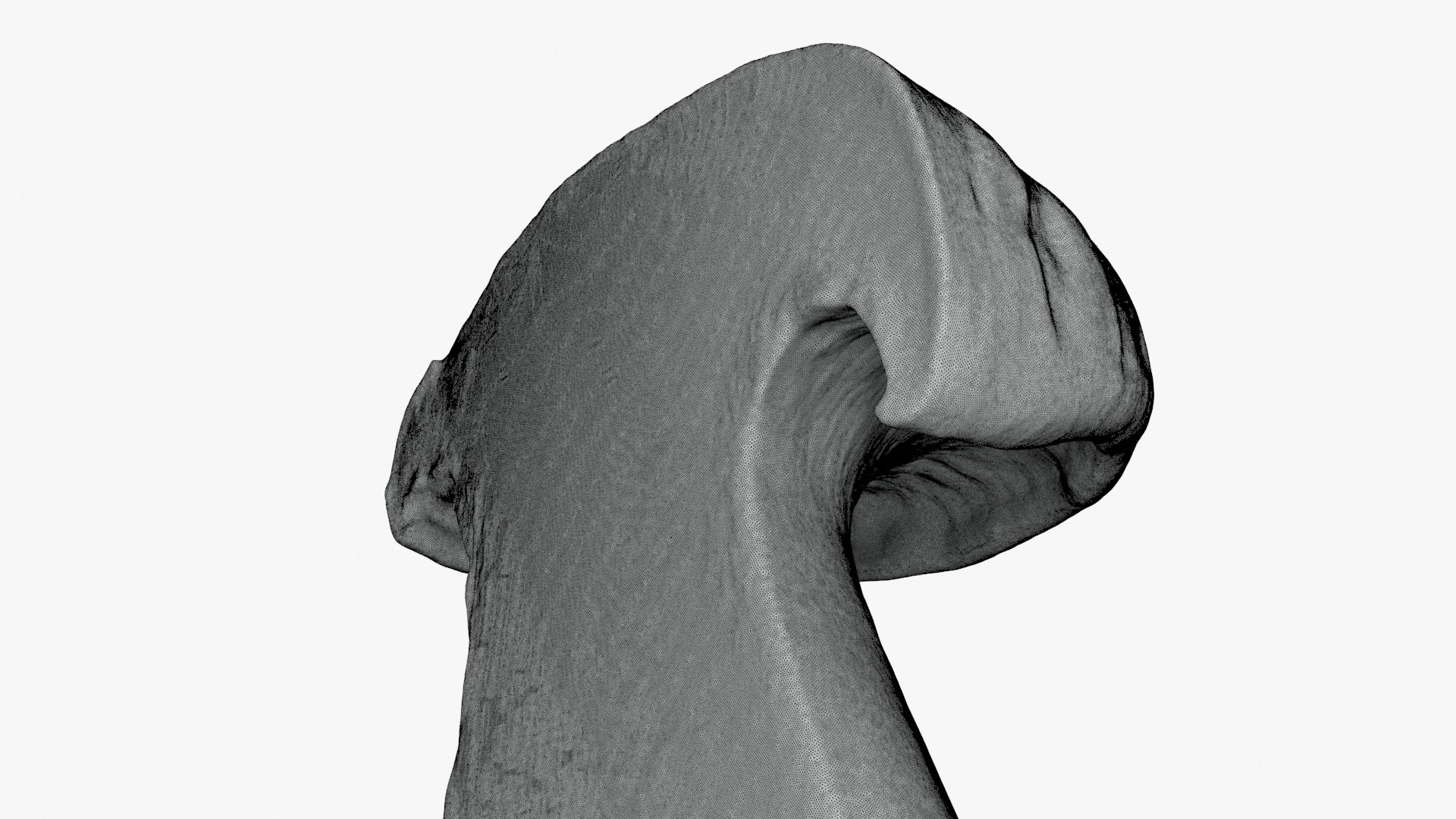 3D King Trumpet Half Scan model https://p.turbosquid.com/ts-thumb/7g/Po9816/ih/kgtrumpethalf02_g0001/jpg/1723000593/1920x1080/fit_q87/86bf8c9deab78525c8c86e10e263ce7d743c78cd/kgtrumpethalf02_g0001.jpg