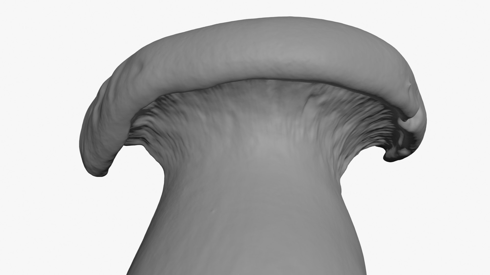 3D King Trumpet Half Scan model https://p.turbosquid.com/ts-thumb/7g/Po9816/rr/kgtrumpethalf02_b0008/jpg/1723000585/1920x1080/fit_q87/47416e1cc0f4ed157906e6694c6244f507ee35d6/kgtrumpethalf02_b0008.jpg
