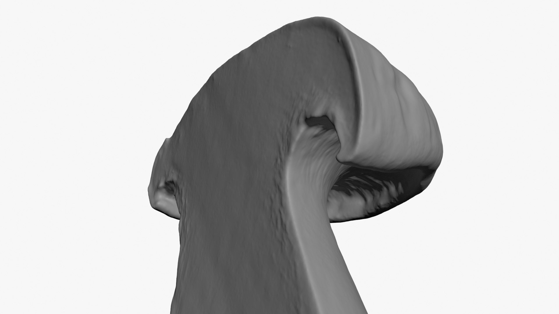 3D King Trumpet Half Scan model https://p.turbosquid.com/ts-thumb/7g/Po9816/ww/kgtrumpethalf02_b0018/jpg/1723000588/1920x1080/fit_q87/e7f0437902b2f9e5cbf80e153c8cae0b4b4793da/kgtrumpethalf02_b0018.jpg