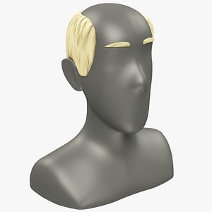 3D model hairstyle old man hair