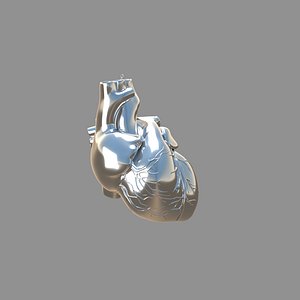 human heart pendent silver