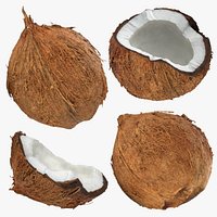 Coconut - 3D Scanned Collection