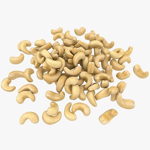 3D cashew pile model