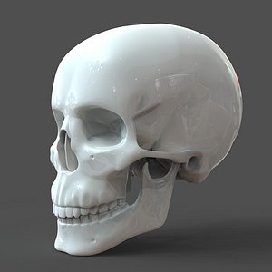 Free & Premium 3D STL Models - Download .stl Files | TurboSquid