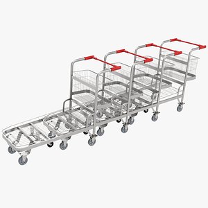 Shopping Carts model