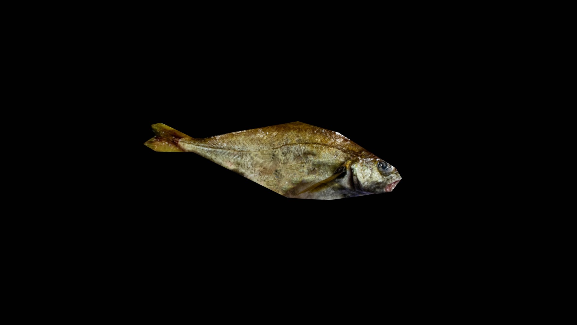 3D Fish Low Poly - TurboSquid 2136152