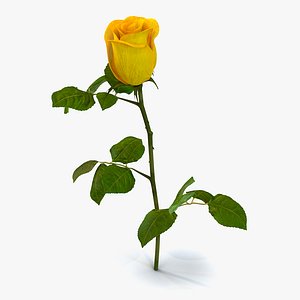 3d rose 2 yellow