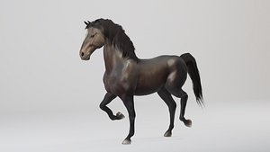 Rigged and Animated Black Stallion 3D model